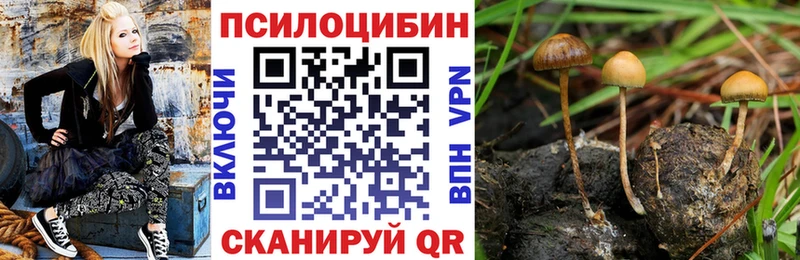 площадка официальный сайт  Задонск  Галлюциногенные грибы Psilocybine cubensis  купить  цена 